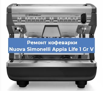 Ремонт капучинатора на кофемашине Nuova Simonelli Appia Life 1 Gr V в Ижевске